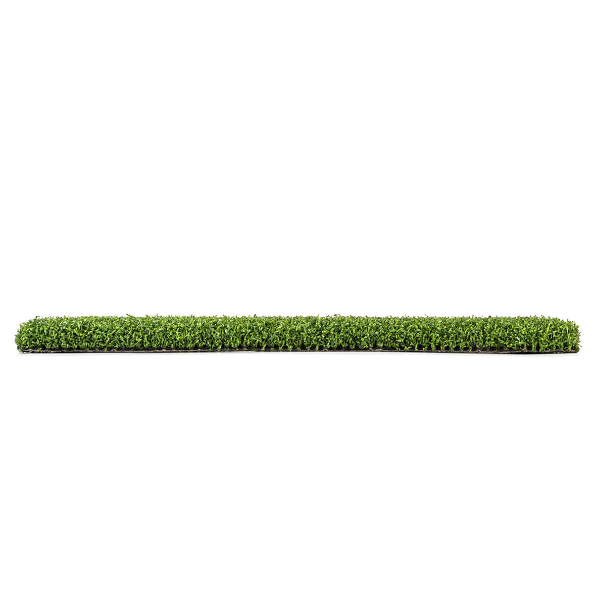 Ace Putting Green Side View