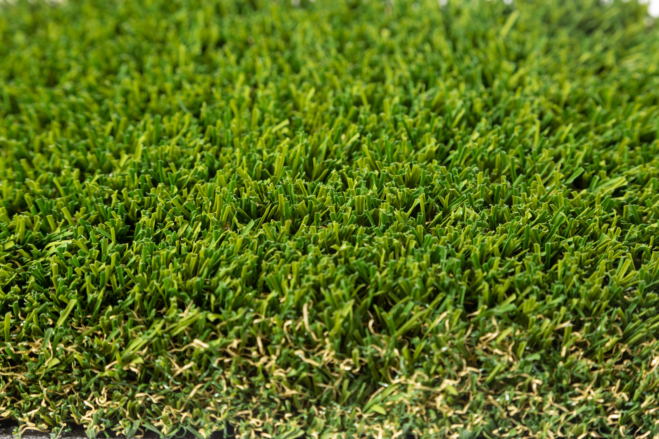 Gensis Artificial Grass Top View