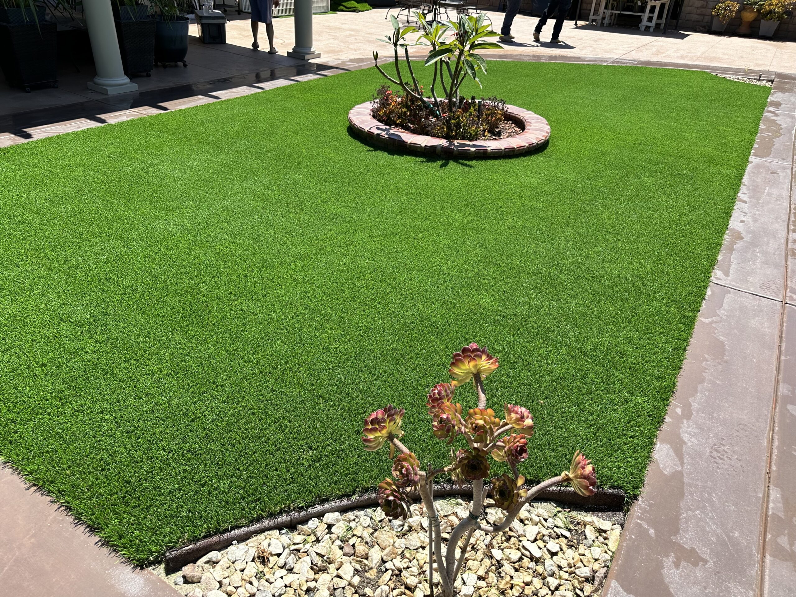 Backyard_Artificial_Grass_Corona